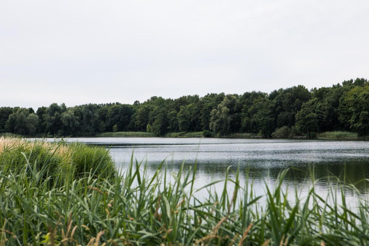 Ruim Chalet In Het Hart Van ZeelandHeinkenszand エクステリア 写真